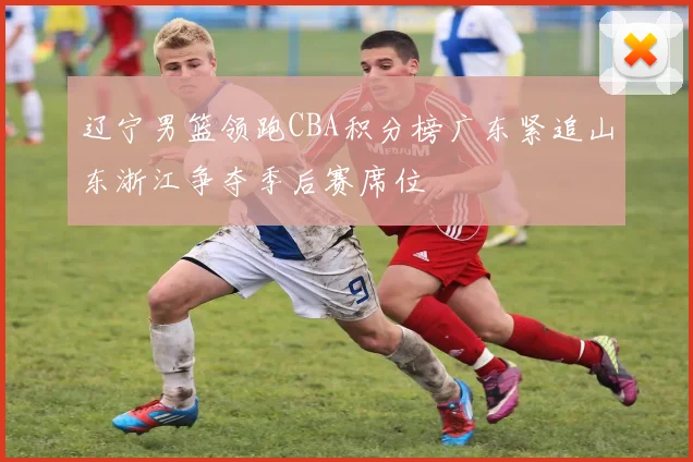 辽宁男篮领跑CBA积分榜广东紧追山东浙江争夺季后赛席位