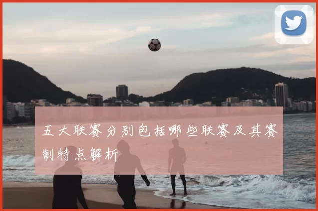 五大联赛分别包括哪些联赛及其赛制特点解析